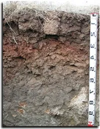 Soil Classification Image